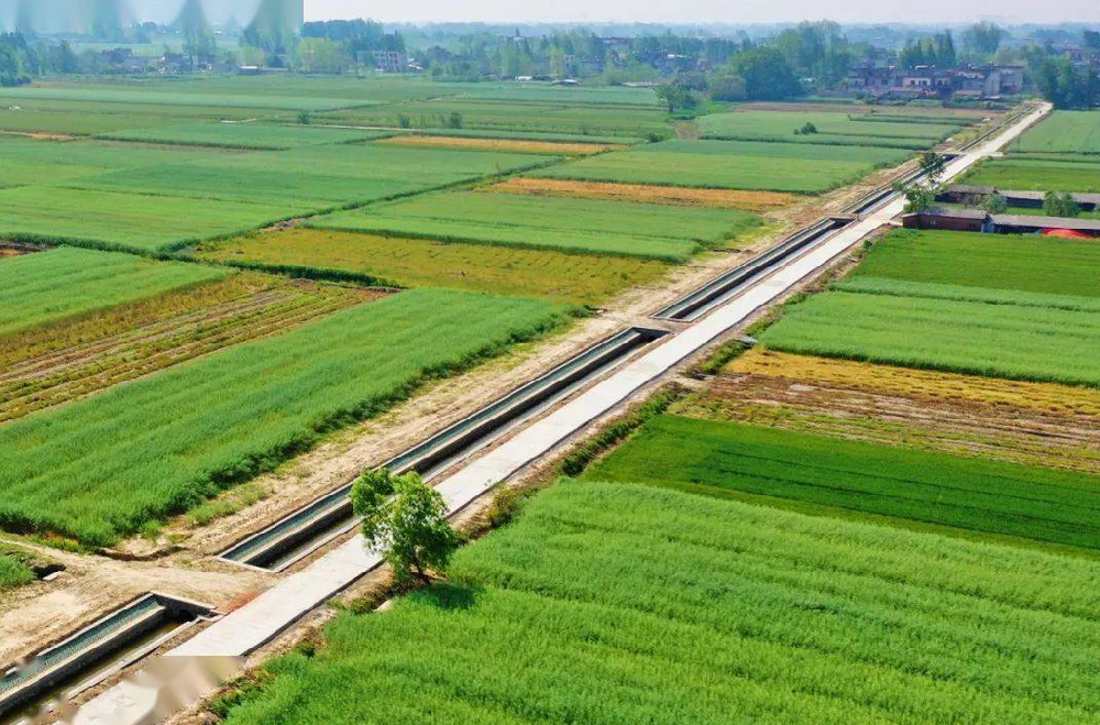 榮昌區(qū)2019年度觀勝清流片區(qū)高標(biāo)準(zhǔn)農(nóng)田建設(shè)項(xiàng)目（5標(biāo)段/6標(biāo)段）